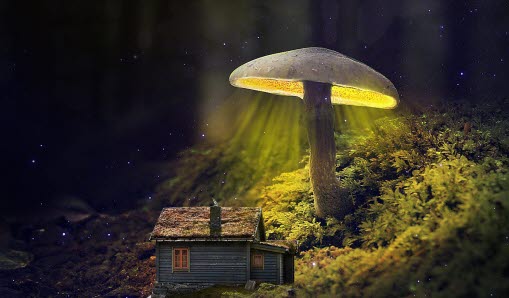 Stor belyst svamp i sagoskog med ett litet hus