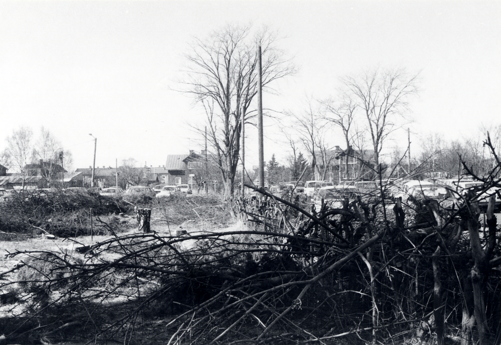 Ett nytt Domusvaruhus byggs i Vallentuna centrum norr om Konsumhuset.  Här fälls träden 30 mars inför byggstarten.  Fotograferat från trottoaren vid Banvägen.  I bakgrunden syns Tvillingvillorna eller Syskonvillorna och framför dem parkeringsplats
