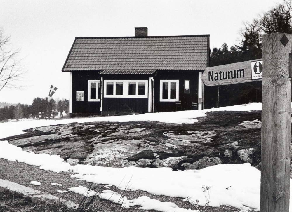 Naturum i Angarn.  I Naturum presenteras olika utställningar och information om Angarnssjöängen. Naturum drivs av Vallentuna kommun i samarbete med föreningar i hela Vallentuna kommun.  Medlemmar i hembygdsföreningar och naturskyddsföreningen agerar värdar under veckoslut på våren, sommaren och hösten.  Motivdatum förmodligen 1984-03-31