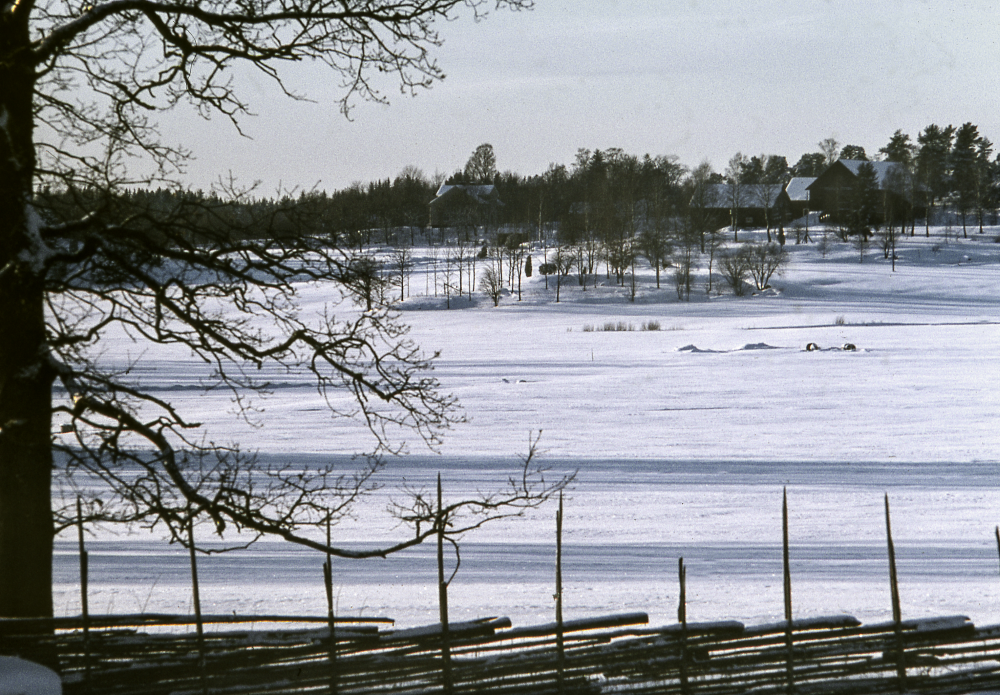 Vy från Skesta hage mot Kusta gård.