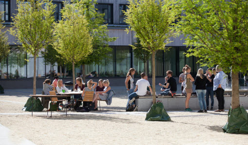 Universitetsstudenter som hänger och umgås utanför skolbyggnaden under sommarperiod.