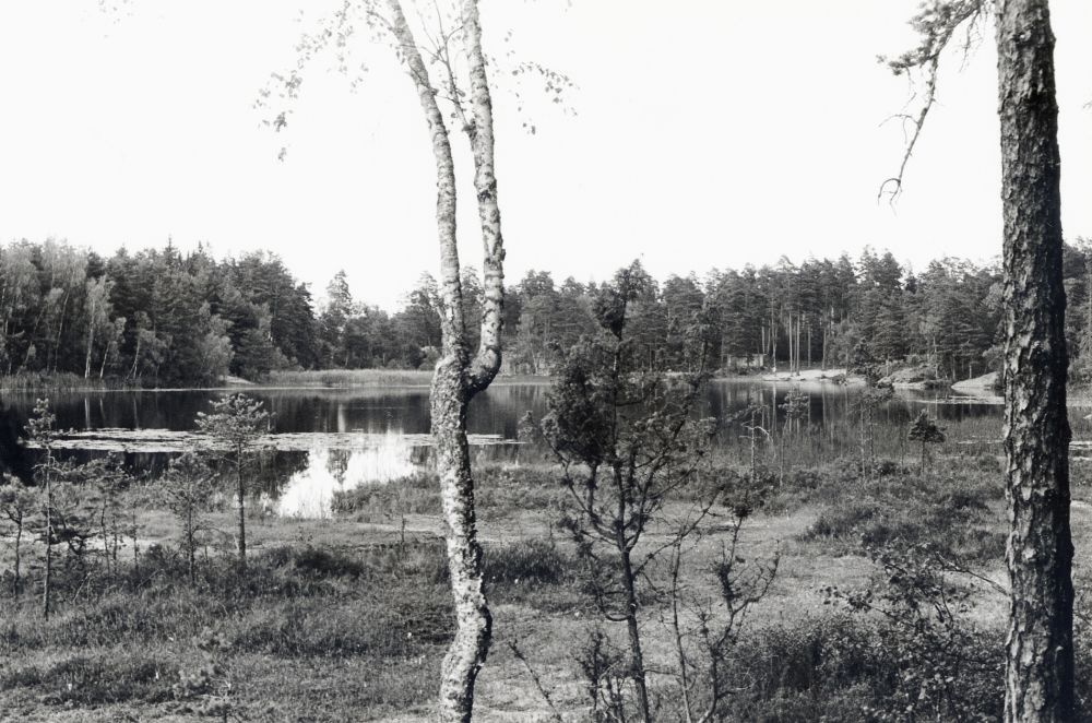 Bergsjön i Kårsta sommaren 1993