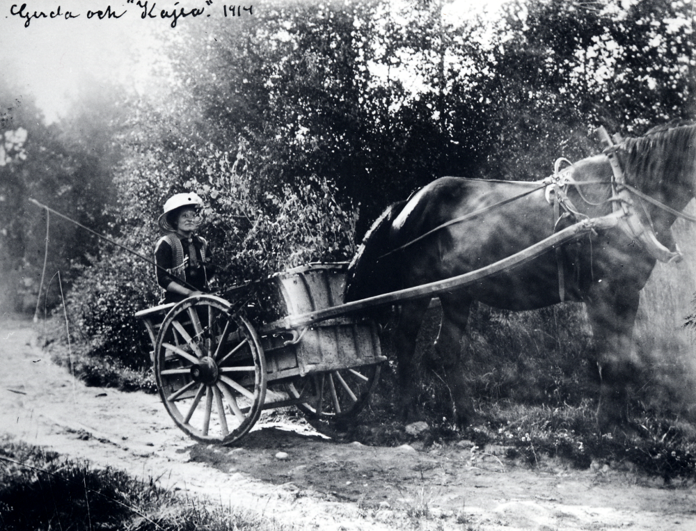 Gerda Jansson med hästen Kajsa som drar en vagn vid Gullspång på väg till Stockholm på midsommarafton 1914.