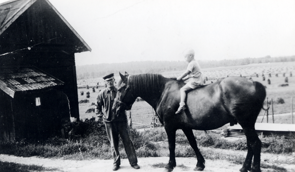 Lennart Jansson rider på hästen vid Stängselboda. I bakgruanden står sädesskylar på tork
