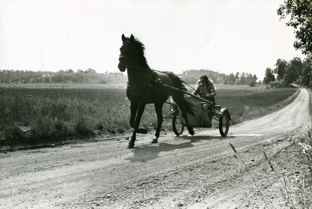 En travande häst motioneras längs Skålhamravägen av körsven i sulky .
•Fotografiet ingår i bildserien ”Vardagsliv i Vallentuna kommun” av Rachael Gough-Azmier & Gunilla Blomé, Haga Studios HB.