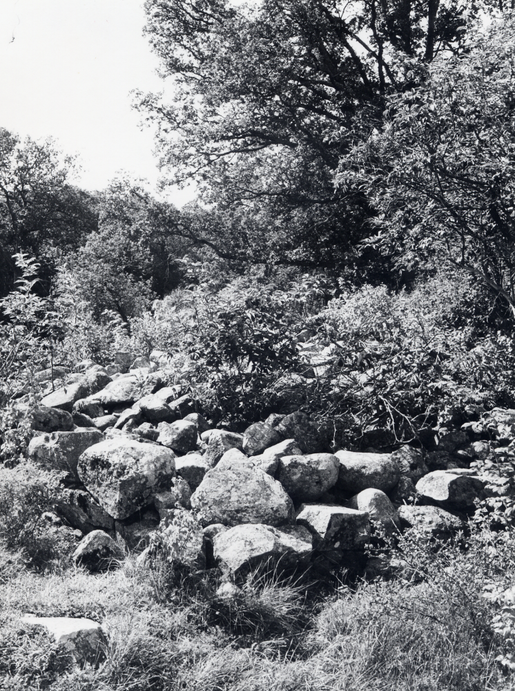 På Gustav Vasakullen i Lindholmen finns ruinerna kvar efter Lindholmens slott.  Gustav Vasa föddes här i sin mormors hus omkring 1496.  En minnessten restes 1866 på kullen till Gustav Vasas minne