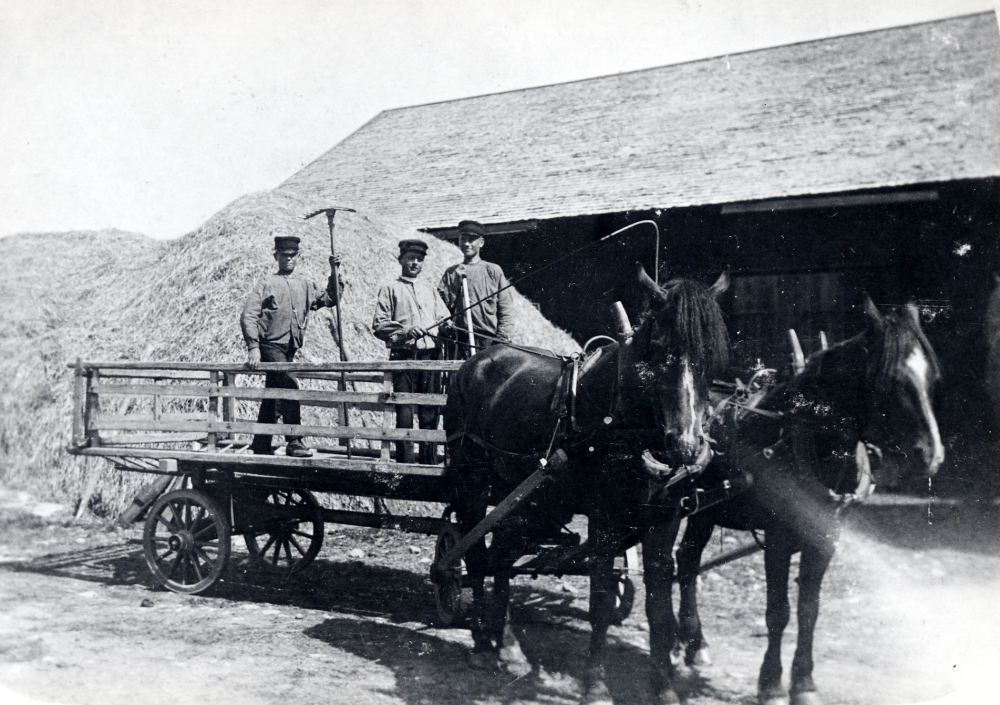 Bröderna  Andersson  vid  Väsby gård  under  höskörden  utanför ladan med  spånklätt  tak. Bröderna står i en tom  höskrinda  dragen av två  hästar