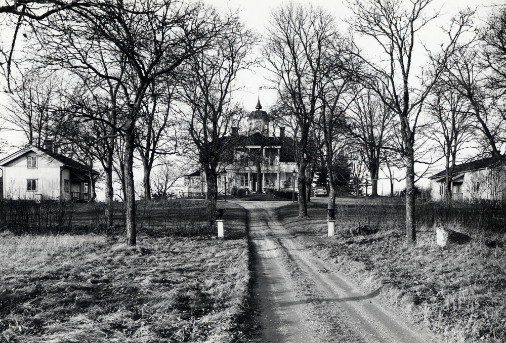 Ekskogens gård med flyglar