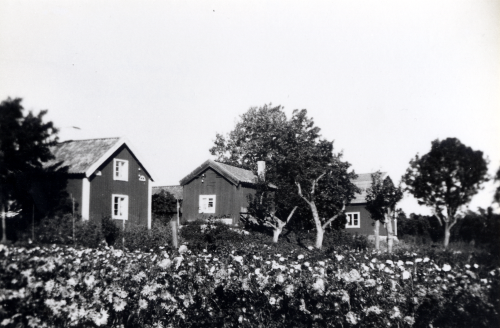 Slumsta gård i Orkesta