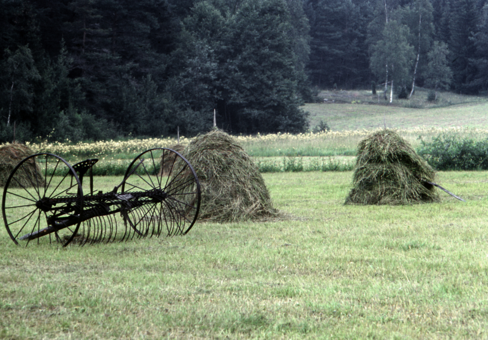 Volmat hö på åkern nedanför torpet Ängsberga. Fotografiet ingår i bildserien Några torp i Vallentuna 1970 som köptes av Vallentuna kommun. Dokumentationen gjordes mot bakgrund av den snabba förvandling av kulturlandskapet som skett och ännu sker. Många torp anlades under den svenska landsbygdens folkökning under slutet av 1700-talet och decennierna framöver. Dessa torp och små gårdar försvinner alltmer då de inte längre är lönsamma. Kulturmiljö.