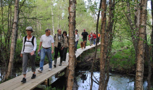 Naturvård och parker, Veda naturstig