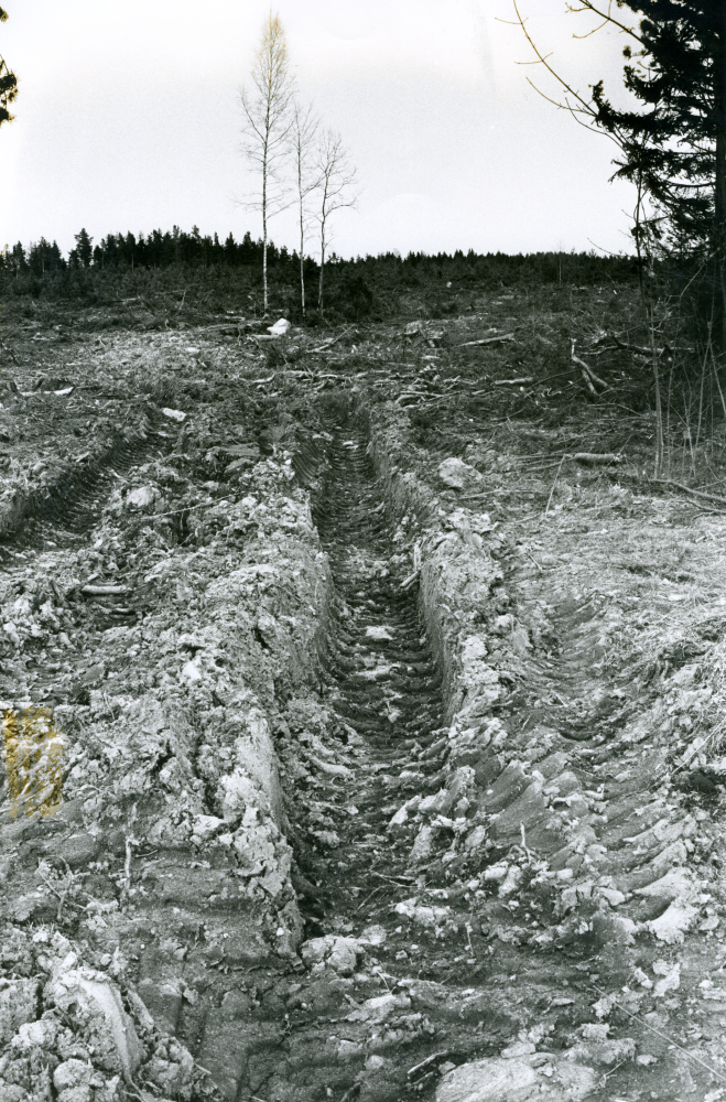 Kalhygge och skogsrester efter skogsavverkning våren 1973. Skogsmaskinen har gjort djupa spår i marken.
•Fotografiet ingår i bildserien ”Vardagsliv i Vallentuna kommun” av Rachael Gough-Azmier & Gunilla Blomé, Haga Studios HB.
