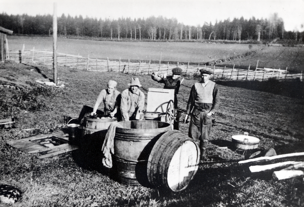 Fr v  Uno Mattson , hans hustru  Lilly Mattsson  och drängen  Anton Jansson   Kagg-svängen  tillverkar  potatismjöl  vid  Tarby gård