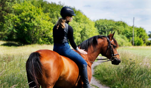 Tjej som rider på en brun häst