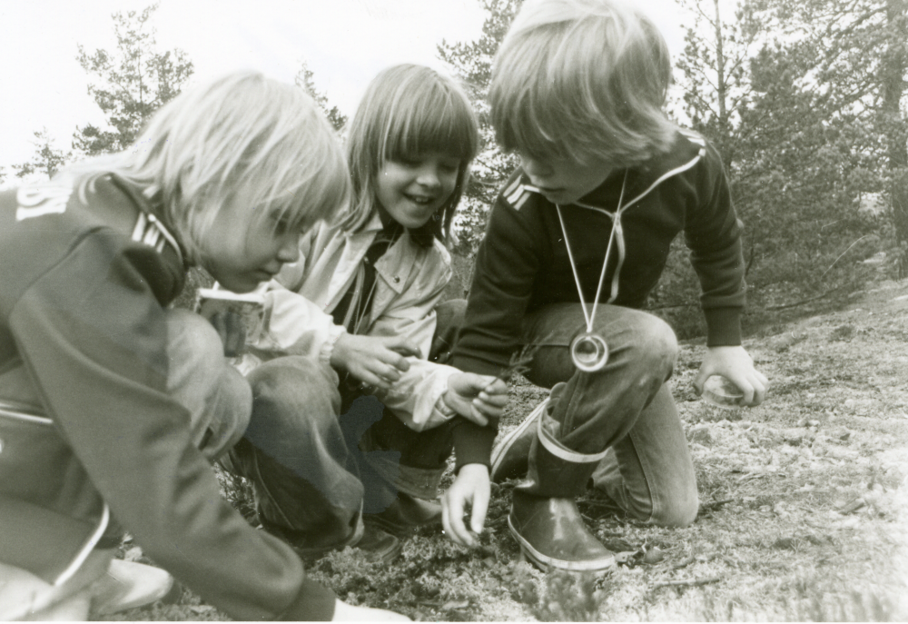 Friluftsfrämjandets Skogsströvare upptäcker en okänd värld med sina luppar.
Foto och uppgifter: Fredrik Andersson.