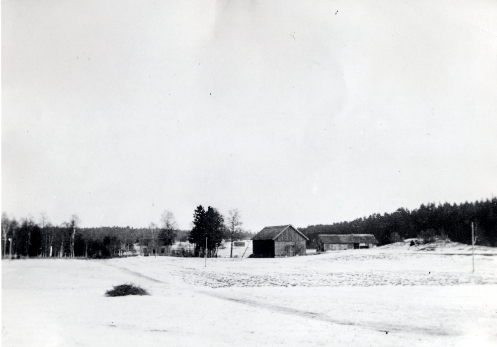 Västlunda gård i Vallentuna.  Ägare Johansson med sonen Herbert?