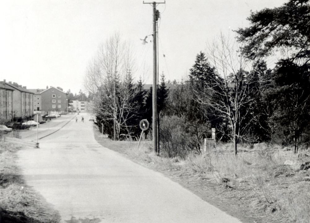 Fornminnesvägen sedd från öster med de gula flerfamiljshusen på vänster sida.  Av bostadsrättsförening Granens hus skymtar endast taken på höger sida.  I det trädbevuxna området  kommer bostadsrättsföreningen Tallen att byggas inom kort.  I bakgrunden där Fornminnesvägen slutar, syns bostadsområdet Norrgården
