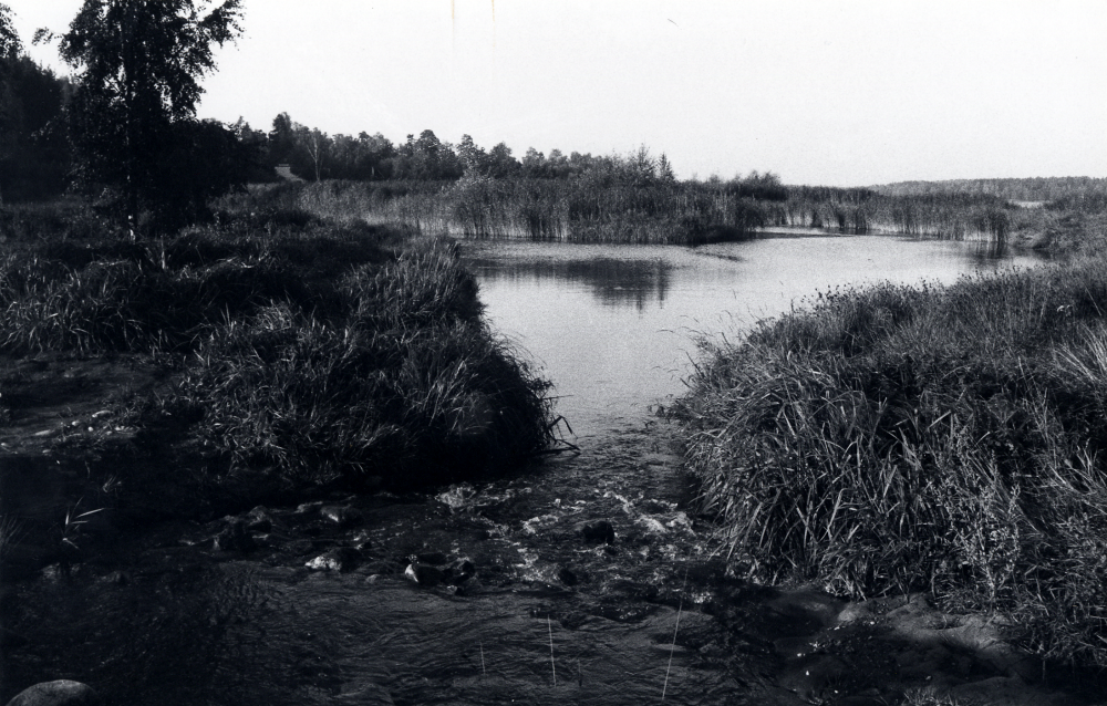 Norra stranden i Kyrkviken i Vallentunasjön har restaurerats.  Vass har tagits bort men "öar"har lämnats kvar för häckande fåglar.  Vid Ormstaåns utlopp har en liten fors ordnats. Småpojkar kan fiska vid bron på cykelvägen mellan Bällsta och Vallentuna centrum