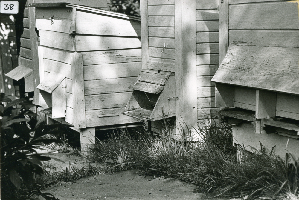 Hos biodlare Thitus Hahn på Åbyholmsvägen i Vallentuna. Här står bikuporna på rad i trädgården. Thitus Hahn var tidigare trävaruhandlare.
•Fotografiet ingår i bildserien ”Vardagsliv i Vallentuna kommun” av Rachael Gough-Azmier & Gunilla Blomé, Haga Studios HB.