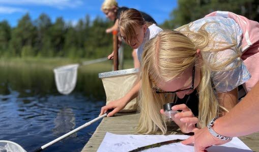 Skolelever arbetar på brygga