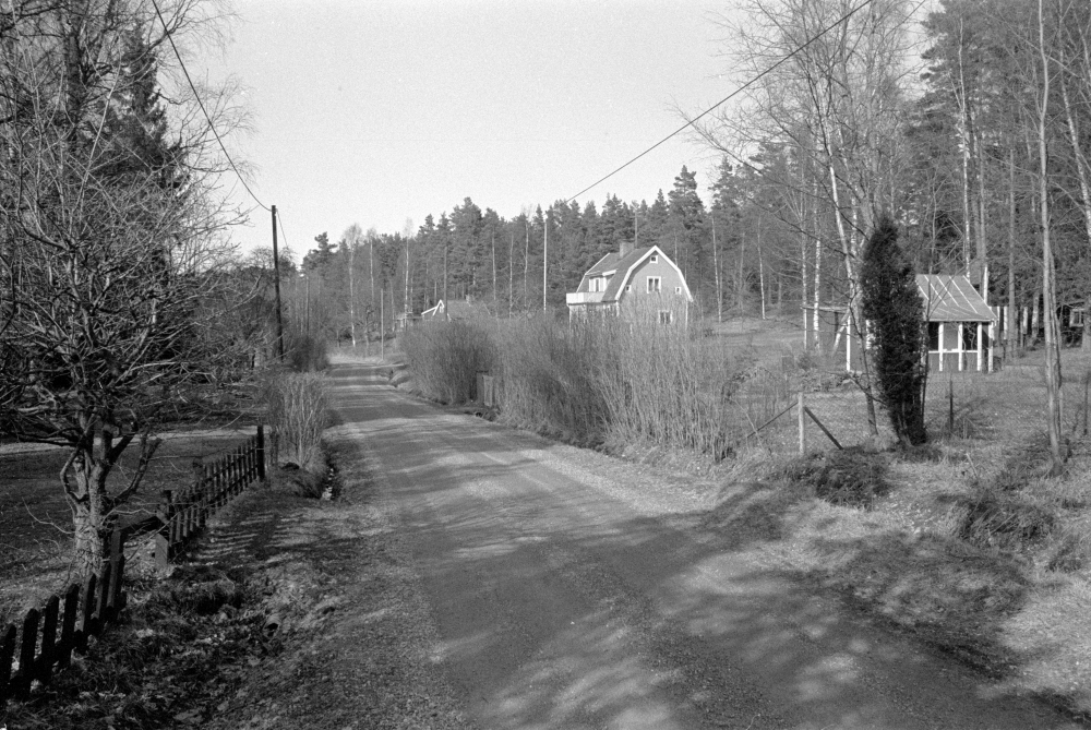 Bebyggelse och natur vid Fågelsångsvägen i Kristineberg innan husen revs och området röjdes inför byggstarten av Arningeleden. Vägen mot norr. Fotograferat 1996-1997.