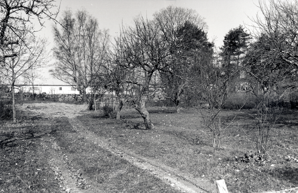 Gammal bebyggelse vid Stendösvägen.  I trädgården finns ännu fruktträd.  I bakgrunden syns Väsby gårds stenmur samt övervåningen på Sörgårdens bostadshus vid Sörgårdens torg.  Den äldre bebyggelsen  utmed Stendösvägens västra sida kommer att rivas inför byggstart av nytt seniorboende