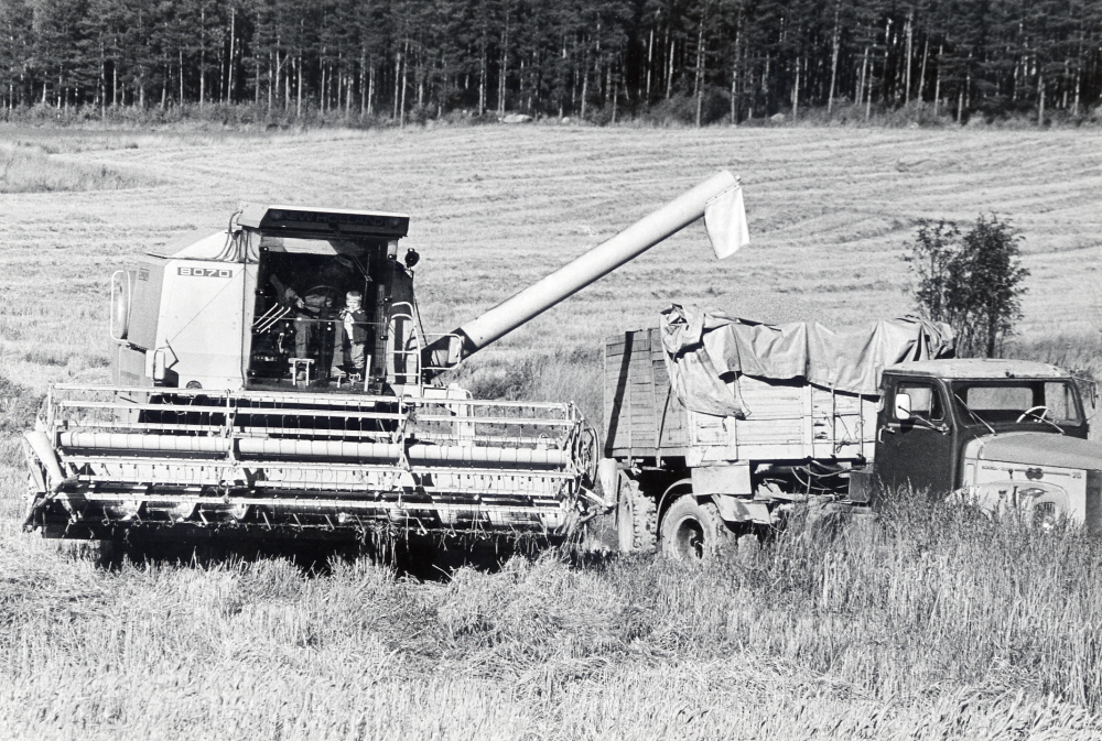 Backa gård. Arbete med skördetröska. Tömning av sädeskorn på en flakvagn dragen av en lastbil. I skördetröskan står också en liten pojke