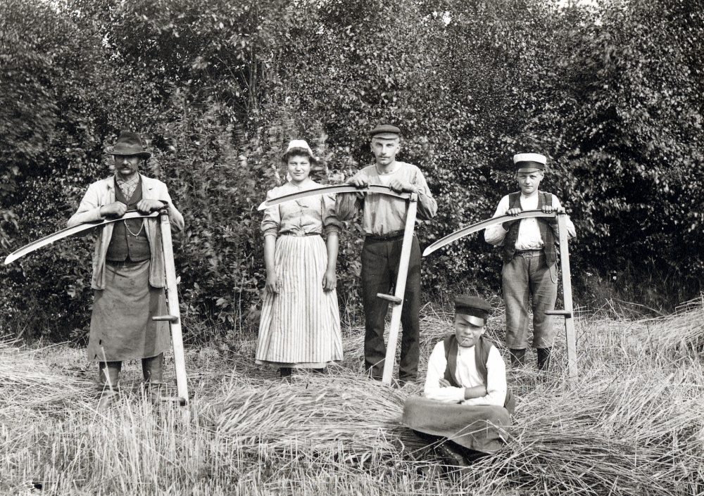 Slåtterlag  vid  Åvasta gård  Fr v  Gusten Johansson  en jungfru,  Albin Johansson ,  Simon Johansson  och  Edvin Johansson.  Tre av karlarna lutar sig mot  liarna