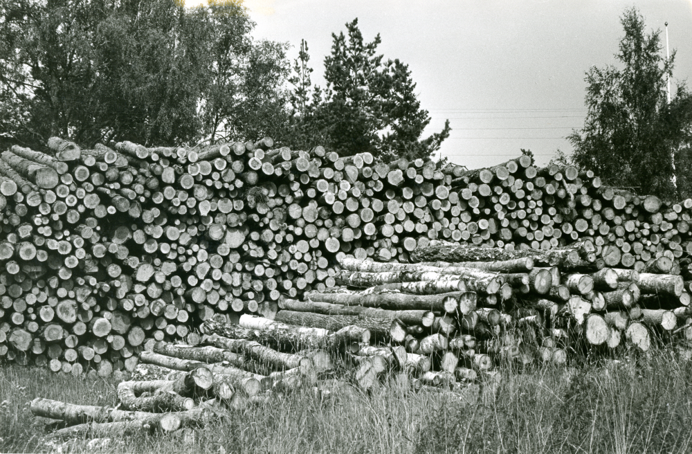 Timmer ligger uppradat i stora högar vid Lingsbergsvägen på väg mot Seneby.
•Fotografiet ingår i bildserien ”Vardagsliv i Vallentuna kommun” av Rachael Gough-Azmier & Gunilla Blomé, Haga Studios HB.
