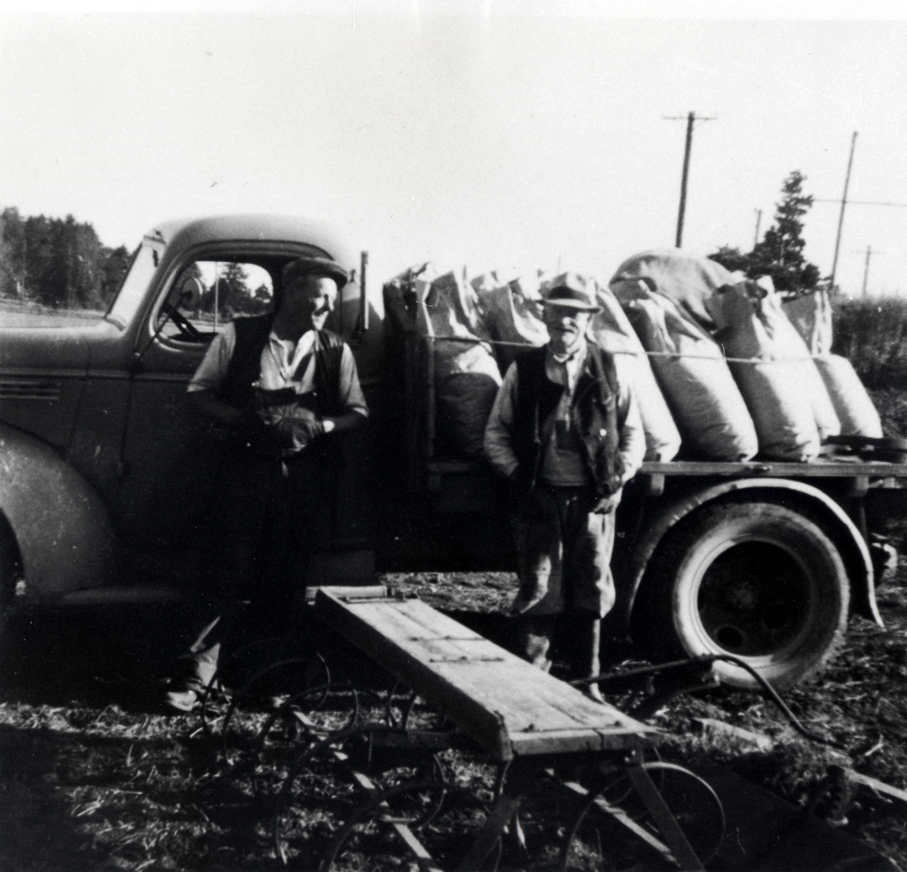Paus i skördearbetet på Väsby gårds marker vid vägen mot Kullen.  Vid Sven-Erik Karlssons lastbil Chevrolet, av 1946 års modell, som användes i jordbruksarbetet likaväl som vanlig bil, står fadern Sven Karlsson och "en riktig rospigg" Andersson från Rosendal.  I förgrunden syns en harv