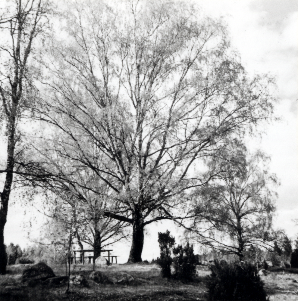 Dansbanan i Söderby hage, Orkesta. 

Uppgift om fotoår saknas.