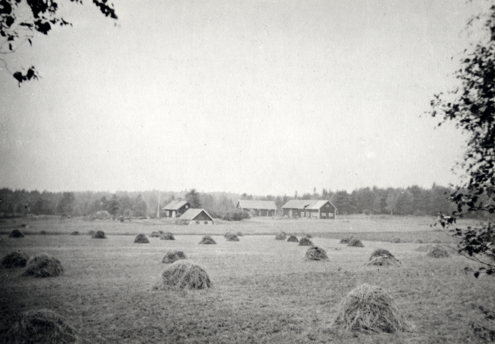 Hövolmar vid Stortorp, Lingsberg