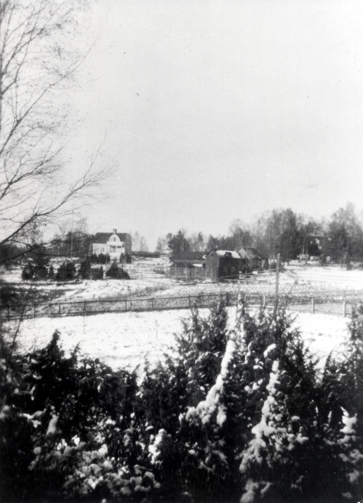 Solsta byggdes 1922 som bostad för C M Carlsson, hans hustru Hilma och sönerna Hans,  Lennart. och Bo.  Tomten, vars  yta var nära 10 000 m2 ,  köptes 1921 från Ormsta gård mark.  Den var stor nog att rymma en rejäl trädgård som kunde bidra till familjens försörjning.  T h har en stor hönsgård byggts, praktiskt taget vägg i vägg med Carl-Johan Petterssons hönshus på Sigridslunds tomtmark öster om Solsta.  I Sigridslund, som skymtar t h,  bodde C J Pettersson "Brännar-Pelle" med hustru Anna och två dotterdöttrar.