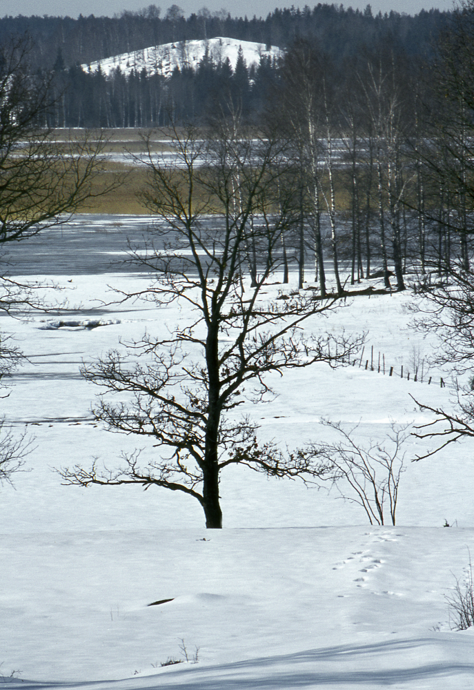 Vy från Skesta hage mot Klosterbacken.