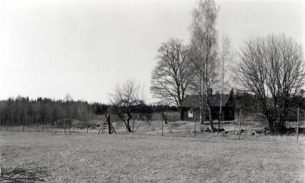 Källboda, torp under Molnby gård.  I förgrunden staket som hägnar in en flock hjortar som tillhör Molnby gård.