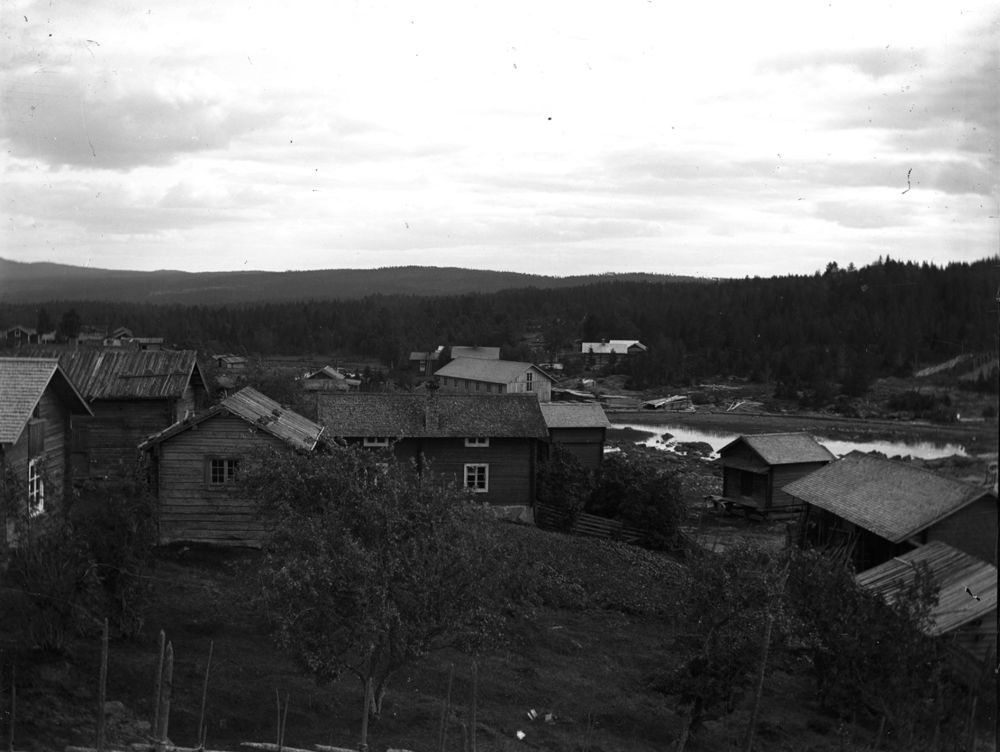 Plats okänd. Uppgift om fotoår saknas, men troligen 1920-talet.