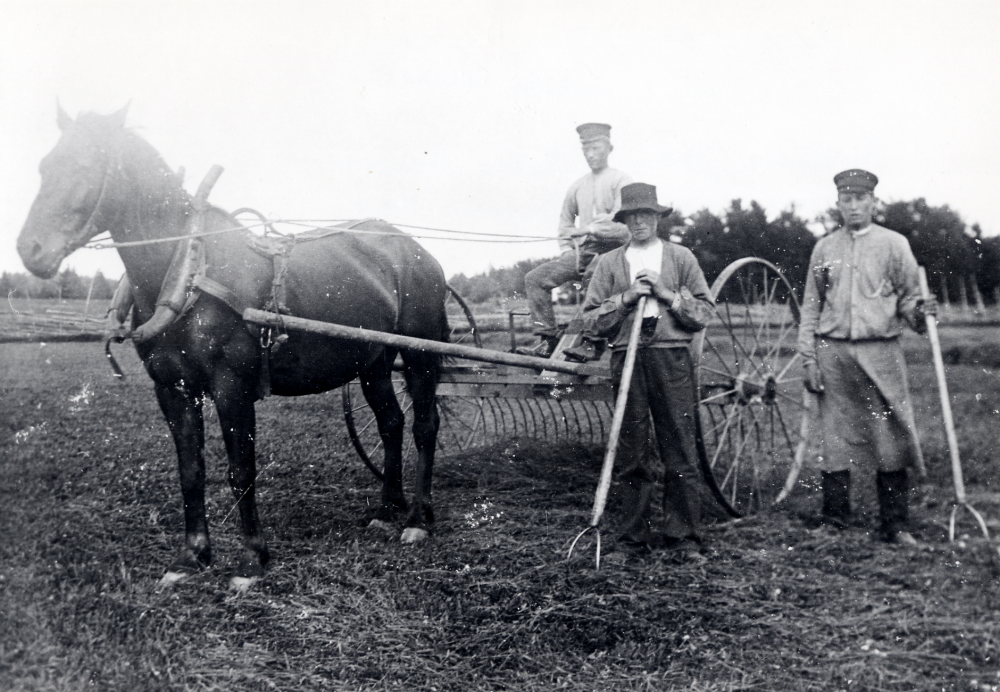 Balansräfsa dragen av en häst vid Väsby gård. På bilden står bröderna John Andersson och Anton Andersson och drängen Ragnar Berg