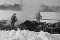 John Rundqvist och Rikard Karlsson anlägger varmbänk i februari 1963. John och Svea Rundqvist flyttade från Hässelby 1942 och köpte Ensta gård i Ormsta. Där bedrev de grönsaksodling fram till 1972 då området bebyggdes.