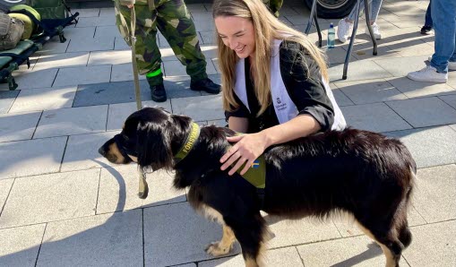 Medarbetare på Vallentuna kommun hukar sig ner och klappar en hund.