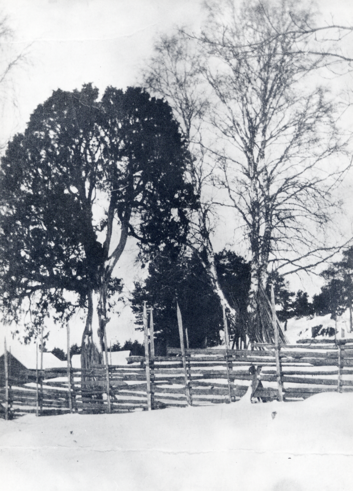 Naturskyddad en  vid  Lappdal  I förgrunden en  gärdesgård. Uppgift om fotoår saknas.