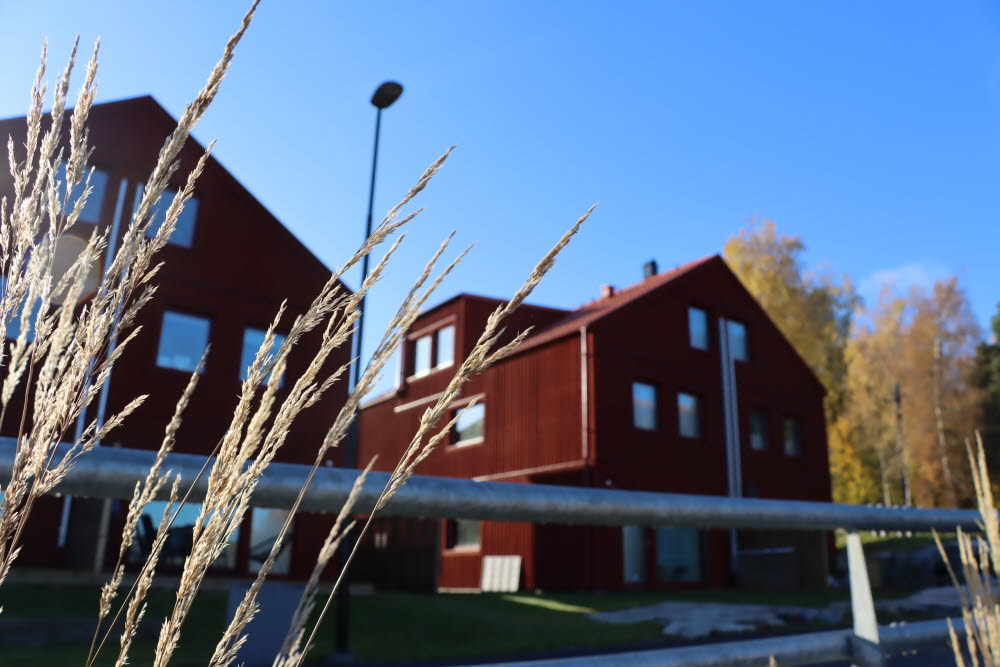 Bebyggelse i Lindholmen. 