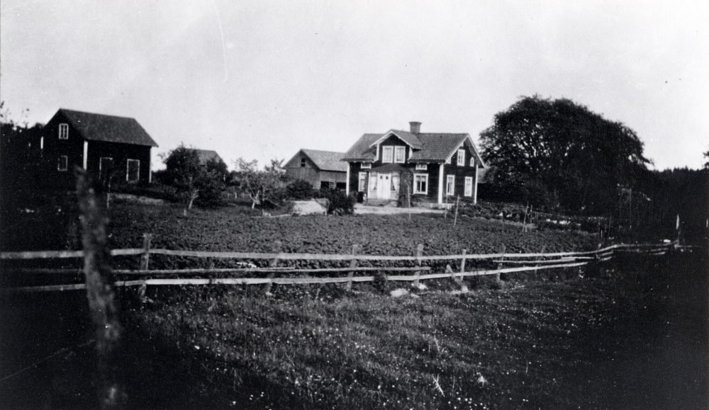 Förutom denna fastighet med beteckningen Ledinge 1:3 finns i Ledinge Norrgården, Södergården och Mellangården.
