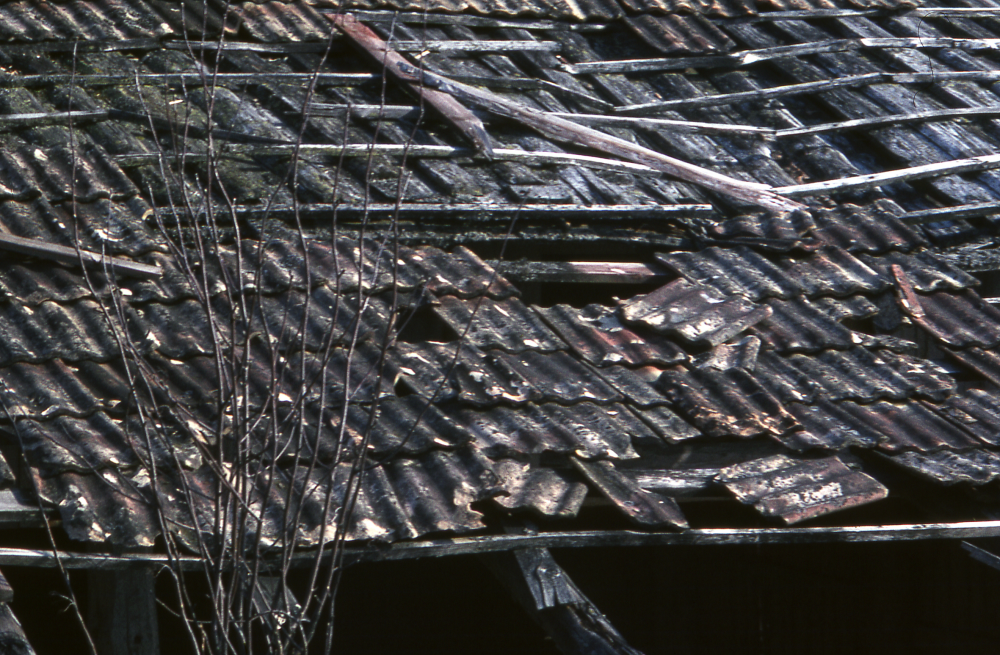 Tak vid Strömstorp. Fotografiet ingår i bildserien Några torp i Vallentuna 1970 som köptes av Vallentuna kommun. Dokumentationen gjordes mot bakgrund av den snabba förvandling av kulturlandskapet som skett och ännu sker. Många torp anlades under den svenska landsbygdens folkökning under slutet av 1700-talet och decennierna framöver. Dessa torp och små gårdar försvinner alltmer då de inte längre är lönsamma. Kulturmiljö.