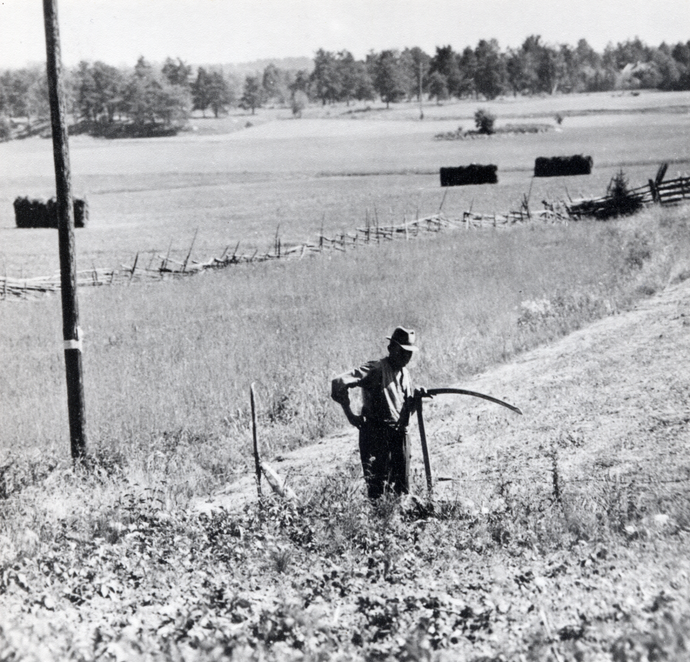 Ernst Grandin står med lie vid Stora Ekeby gård. I bakgrunden ligger numera Snapptuna, med villabebyggelse. Längs gärdesgården går nu en gång- och cykelväg. Ernst Grandin arrenderade Stora Ekeby gård under åren 1923-1947.