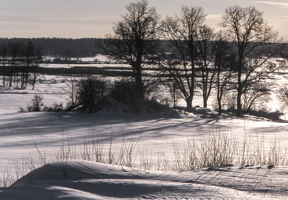 Vy från Skesta hage mot sydväst.