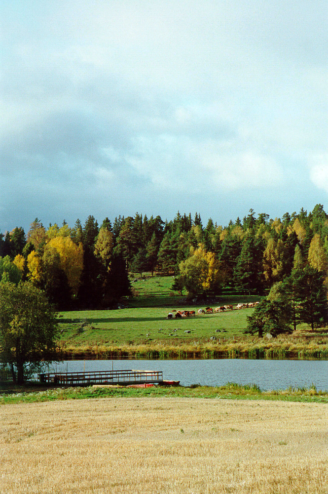 Stolp-Ekebysjön i Frösunda är kraftigt utdikad och bara en mindre vattenyta återstår. År 1997 grävde man upp en del av det som varit den södra delen av Stolp-Ekebysjön och skapade en ny sjö, "Solstasjön". På andra sidan sjön betar här kossor från Viggeby i Orkesta.