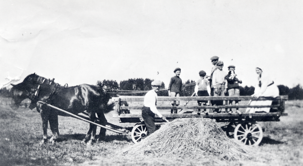 Höbärgning vid Mörby gård. Fr v hemmansägare Albin Nordström (1867-1956) och sönerna Göran Nordström, Tore Nordström, Sven Sjöberg och sonen Jonas Nordström samt fröken Bigander besökande från Västergötland