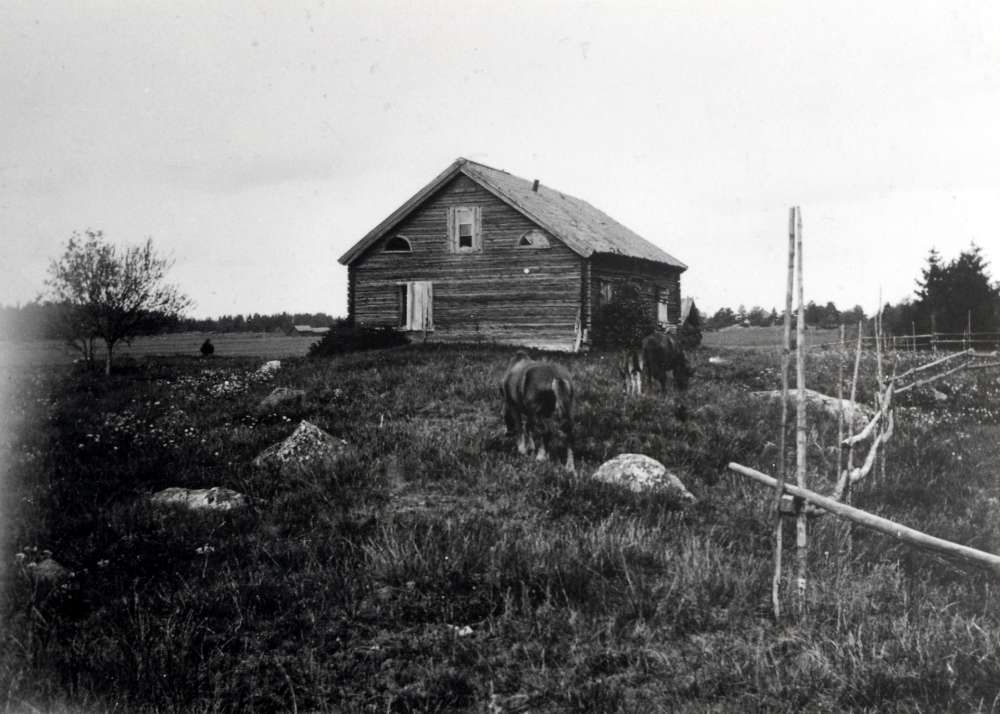 Gården Sjöberg i Markim väster om vägen söderut.  Huset är rivet och timret användes för att bygga huset på Husbyön.  Huset är i starkt förfall. Två hästar och ett föl betar vid huset