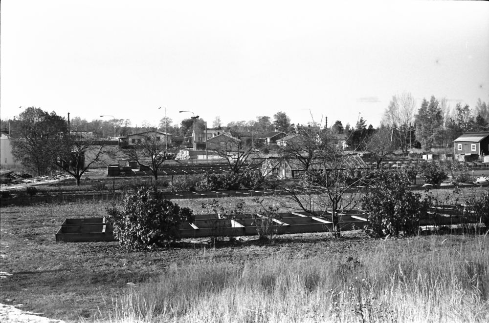 Odlingar. Saknar info om plats, samma plats som 8441.
•Fotografiet ingår i bildserien ”Vardagsliv i Vallentuna kommun” av Rachael Gough-Azmier & Gunilla Blomé, Haga Studios HB.
