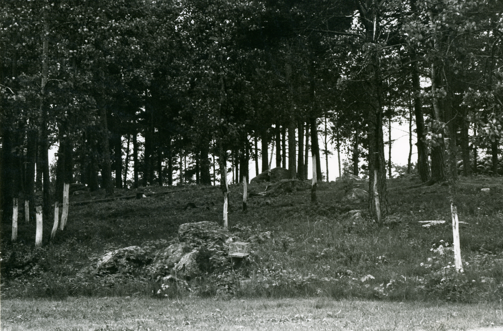 Trädutrotning med hjälp av ringbarkning vid Teknikvägen.
•Fotografiet ingår i bildserien ”Vardagsliv i Vallentuna kommun” av Rachael Gough-Azmier & Gunilla Blomé, Haga Studios HB.